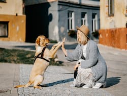 Protect Your Pet From Epilepsy And Seizures With These Expert-Approved Tips