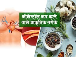 240 mg/dl से ज्यादा हो गया कोलेस्ट्रॉल लेवल तो इन 4 घरेलू नुस्खों से करें कम, कई बीमारियों का खतरा होगा कम