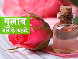 गुलाब जल के फायदे, औषधीय गुण, लाभ और नुकसान