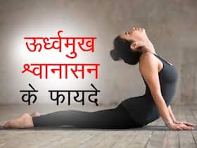 Urdhva Mukha Svanasana Aka Upward Facing Dog pose Benefits- ऊर्ध्वमुख श्वानासन के फायदे, तरीका, लाभ और नुकसान