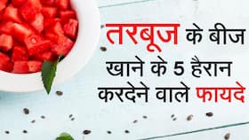 Watermelon Seeds Benefits: तरबूज के बीज के हैं अनेक फायदे, जानिए इसके सेवन से होने वाले लाभ Watermelon Seeds Benefits: तरबूज के बीज के हैं अनेक फायदे, जानिए इसके सेवन से होने वाले लाभ