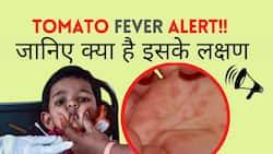 Tomato Fever: केरल में 'टमाटर बुखार' के प्रकोप के बाद सीमावर्ती जिलों में रेड अलर्ट, Watch Video
