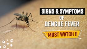 National Dengue Day 2022: Dengue Fever, Causes, Symptoms and Treatment, Watch Video National Dengue Day 2022: Dengue Fever, Causes, Symptoms and Treatment, Watch Video