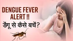 National Dengue Day 2022: क्या होता है डेंगू बुखार, जाने इसके लक्षण और इससे बचाव के तरीके, Watch Video