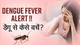 National Dengue Day 2022: क्या होता है डेंगू बुखार, जाने इसके लक्षण और इससे बचाव के तरीके, Watch Video