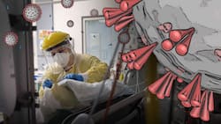 Has COVID-19 Already Moved From a Pandemic To An Endemic?