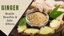 Ginger: Health Benefits, Uses, Side Effects and More