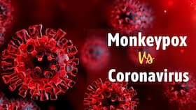 Monkeypox Vs Coronavirus: How The Two Virus Infection Differs, Which One Is A Bigger Threat?