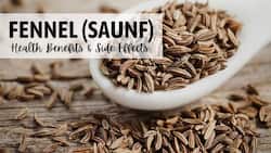Fennel (Saunf): Health Benefits, Uses, Side Effects And More