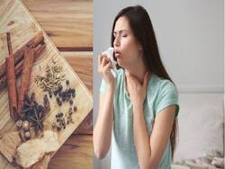 आयुर्वेद में मौजूद है अस्थमा का उपचार, एक्सपर्ट से जानिए प्रकार और आयुर्वेदिक इलाज