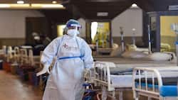 WHO का बयान, महिलाओं की तुलना में पुरुषों में कोविड डेथ के आंकड़े अधिक, दुनियाभर में  1.5 करोड़ लोगों की संक्रमण से हुई मृत्यु