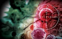 Liver To Breast Cancer: India Will Have 29.8 Million Cancer Cases In 2025, Says ICMR