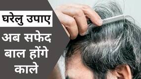 White Hair Problem: कम उम्र में ही बाल हो रहे हैं सफेद तो अपनाएं ये घरेलू नुस्खे