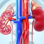 Creatinine: A Waste Product