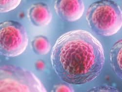 How Does Stem Cell Transplant Work In Thalassemia?  Know Everything