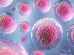 How Does Stem Cell Transplant Work In Thalassemia?  Know Everything
