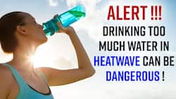 Heatstroke: Suffering from Heatstroke, know its Prevention Tips from Expert