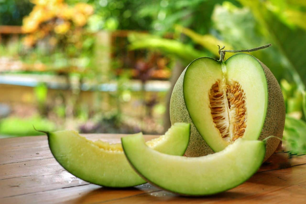 Honeydew Melons In Hindi शरीर में इलेक्ट्रोलाइट कमी को पूरा करता है