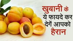 Apricots Benefits: खुबानी के यह फायदें जानकर हो जाएंगे हैरान, Watch Video