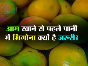 गर्मियों में पानी में डुबोकर क्यों रखे जाते हैं कुछ फल, जानें हेल्थ से इनका कनेक्शन