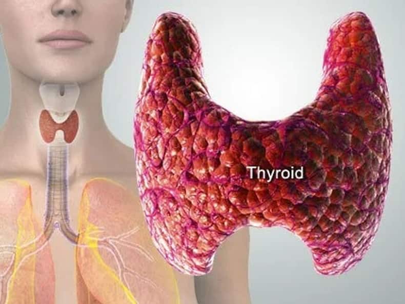 thehealthsite.com top news