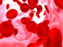 World Thalassaemia Day 2022: What Tests Are Done For Diagnosis Of This Inherited Blood Disorder?