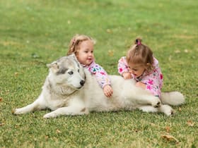 Growing Up With A Dog Can Protect Your Child From Crohn's Disease Later In Life Growing Up With A Dog Can Protect Your Child From Crohn's Disease Later In Life