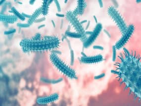 Kerala Food Poisoning Horror: Watch Out For These Bacteria Infections If You Are Eating Out