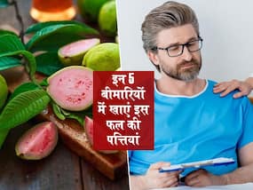 बढ़ता-घटता ब्लड शुगर हो या फिर पेट की चर्बी! इस फल की पत्तियां गायब कर देगी शरीर में छिपी ये 5 बीमारियां