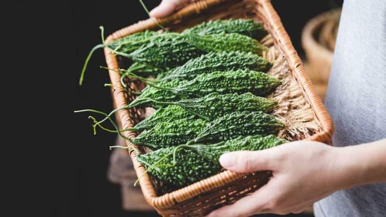 Foods that helps to control Blood Sugar Levels: गर्मियों में खाएं ये 5 कड़वे फूड्स, डायबिटीज रहेगी कंट्रोल में