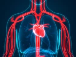 नसों में ब्लड सर्कुलेशन बनाए रखने के लिए डाइट में जरूर शामिल करें ये 5 फूड, खून की गंदगी भी हो जाएगी साफ