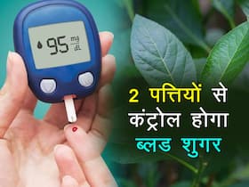 इन 2 पेड़ों की पत्तियां आपके बढ़ते ब्लड शुगर को कर सकती हैं कंट्रोल! जानें ब्लड शुगर कम करने वाली पत्तियां