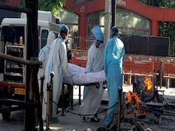WHO: India COVID Deaths 10 Times Higher Than Reported, Govt Rejects Report