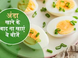 अंडा खाने के बाद ना खाएं ये 4 चीजें, परेशान कर सकती है स्किन इंफेक्शन और पेट से जुड़ी समस्याएं