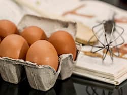 Why You Should Eat Eggs Everyday?
