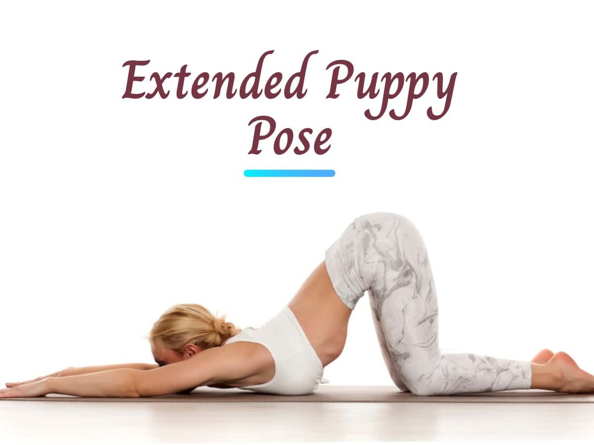 How to Do Extended Puppy Pose  DoYou