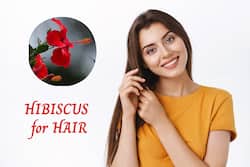 Don   t Miss Out On The Magic Spell Of Hibiscus For Lustrous Hair