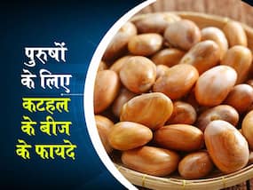 पुरुषों को जरूर खाना चाहिए कटहल के बीज, मिलते हैं ये 4 जबरदस्त फायदे