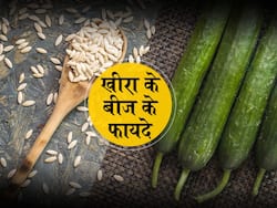 खीरा के बीज के फायदे: मुंह की दुर्गंध भगाने से लेकर अपच तक में इन 5 तरह से इस्तेमाल करें खीरे के बीज