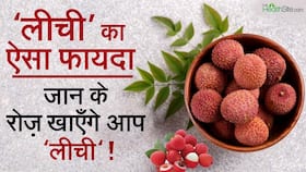 Belly Fat: यह फल खा कर अपना वजन घटा सकेंगे, इसका नाम जान कर चौंक जाएंगे आप Belly Fat: यह फल खा कर अपना वजन घटा सकेंगे, इसका नाम जान कर चौंक जाएंगे आप