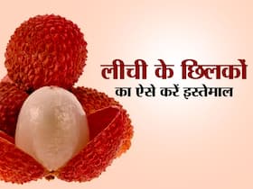 नानी के नुस्खे: लीची के छिलके फेंके नहीं, काली गर्दन और एड़ी साफ करने जैसी इन 4 चीजों में करें इस्तेमाल