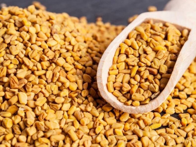 Foods that helps to control Blood Sugar Levels: गर्मियों में खाएं ये 5 कड़वे फूड्स, डायबिटीज रहेगी कंट्रोल में