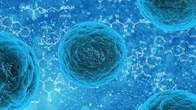 Monkeypox Does Not Spread Easily by Air Like COVID-19