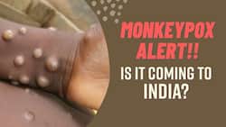 Monkeypox Virus Alert: Should We Be Worried? Watch Video