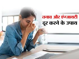 Stress relief plants: काम के दौरान तनाव और एंग्जायटी से बचना है तो आंखों के सामने रखें ये 5 पौधे
