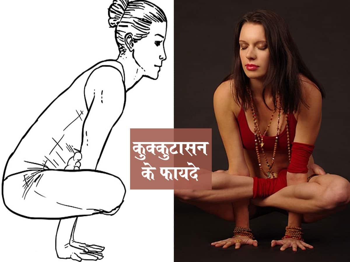 सिद्धासन करने का सही तरीका, फायदे और सावधानियां, शरीर में बढ़ा सकता है  ऊर्जा | How To Do Siddhasana Aka Accomplished Pose Step By Step  Instructions In Hindi