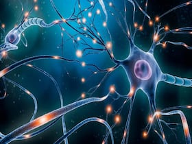 Regenerative Medicine Approach To Manage Multiple Sclerosis Regenerative Medicine Approach To Manage Multiple Sclerosis