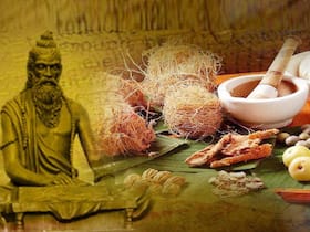 Siddha medicine: आयुर्वेद की तरह हजारों साल पुरानी है ऋषि-मुनियों के जमाने की यह चिकित्सा पद्धति, जानें कैसे लाइलाज बीमारियों का किया जाता है इसमें इलाज
