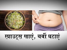 बिना एक्सरसाइज और महंगी डाइट के करना है वेट लॉस, सुबह खाली पेट खाएं ये 5 प्रकार के स्प्राउट्स