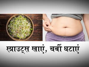 बिना एक्सरसाइज और महंगी डाइट के करना है वेट लॉस, सुबह खाली पेट खाएं ये 5 प्रकार के स्प्राउट्स